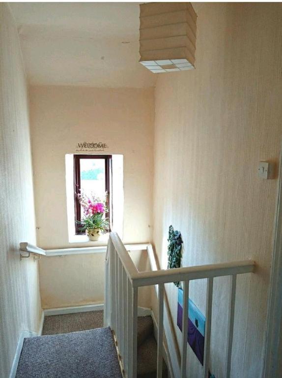 Townhouse Wexford Villa Eksteriør billede